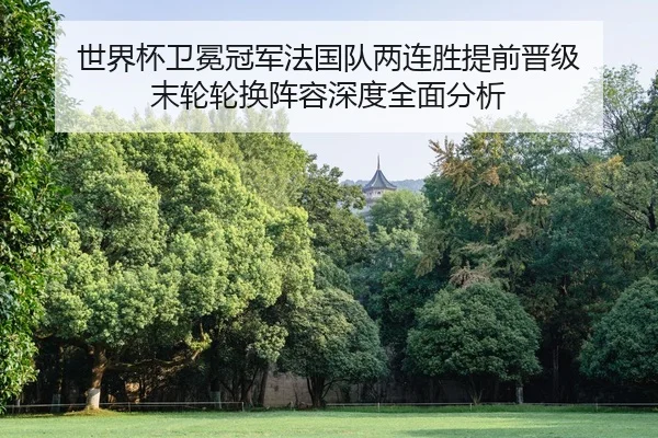 世界杯卫冕冠军法国队两连胜提前晋级 末轮轮换阵容深度全面分析